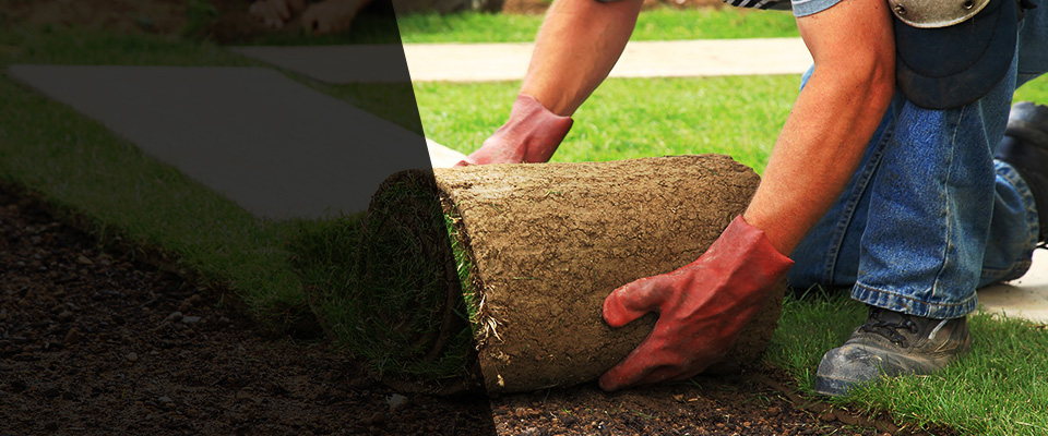 Port Allegany Landscapers